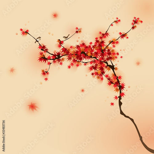 Red maple tree in autumn