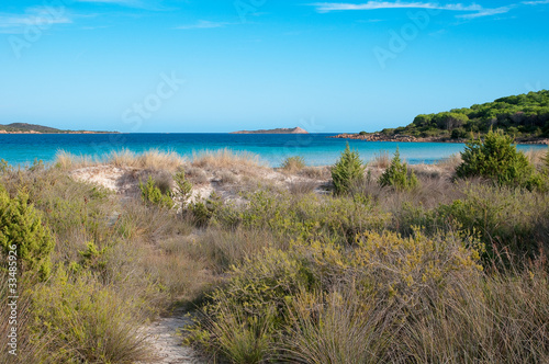 Sardinia, Italy: Cala Brandichi beach, near San teodoro.