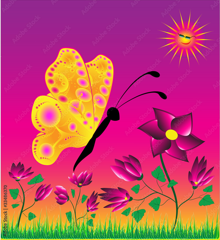 butterfly on a background flower