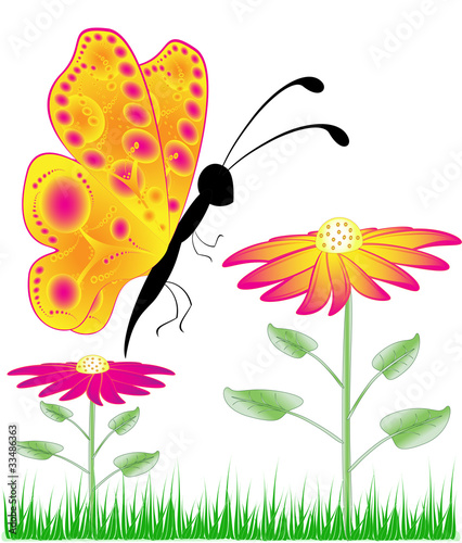 butterfly on flowers