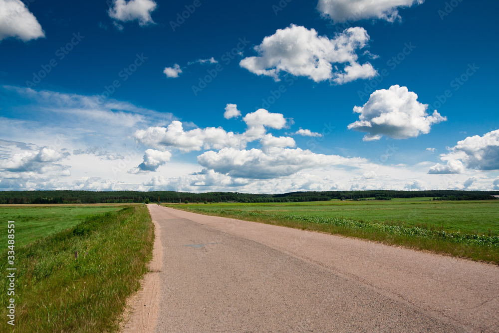 Summer landscape with green grass, road and clouds