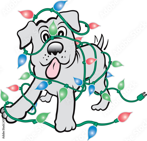 Christmas Puppy