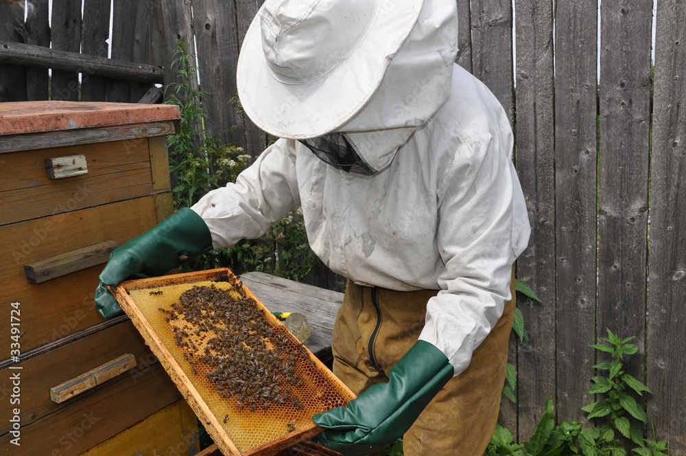 The hiver with bees The hiver with bees