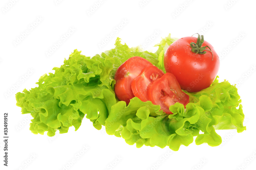 green salad and tomato isolated on the white background green salad and tomato isolated on the white background
