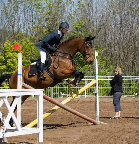 Limber up on the hurdle before showjumping