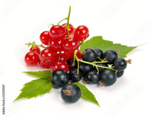 red and black currant