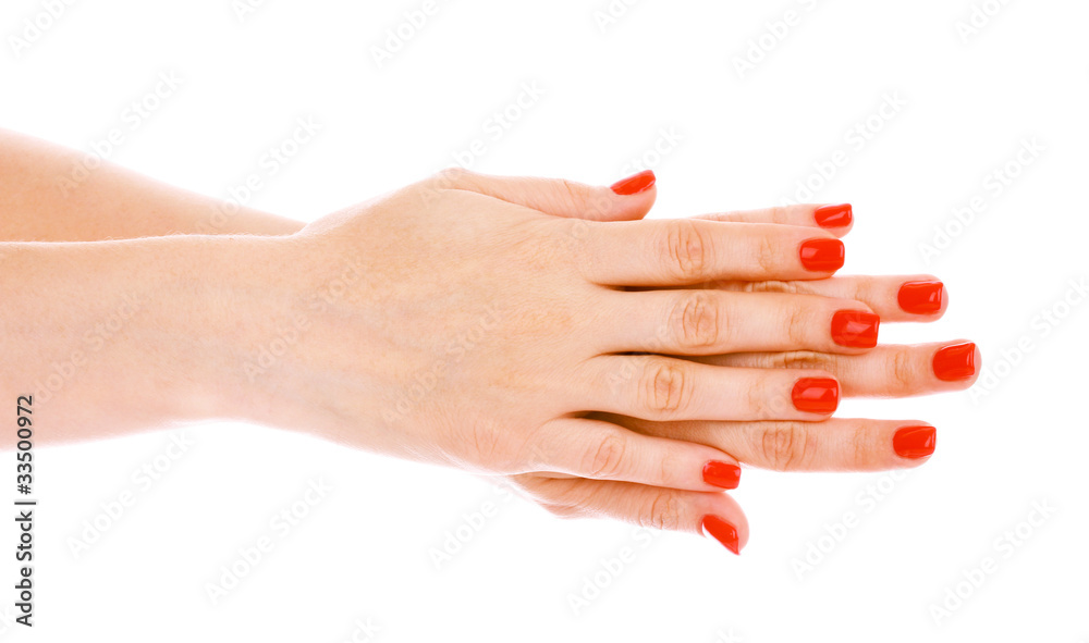 beautiful woman hands isolated on white beautiful woman hands isolated on white