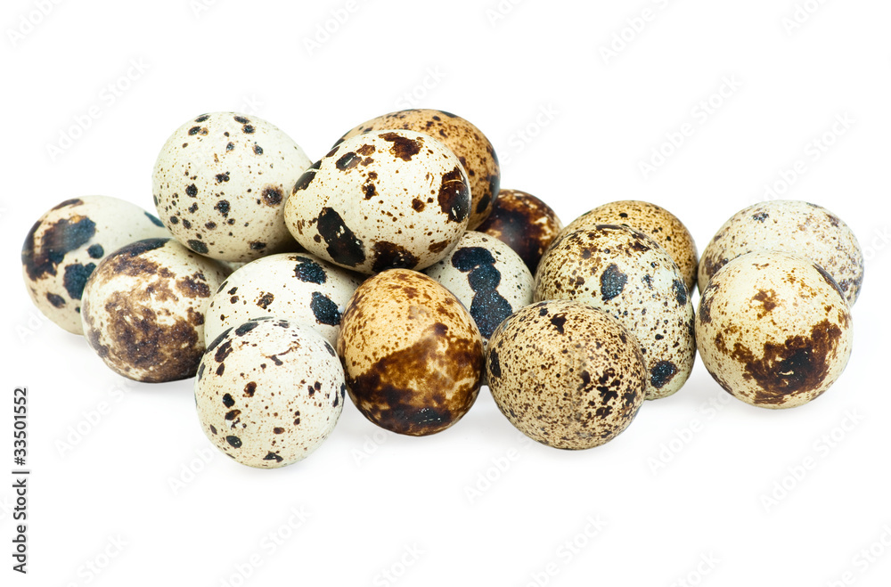 Quail eggs isolated on white the background Quail eggs isolated on white the background
