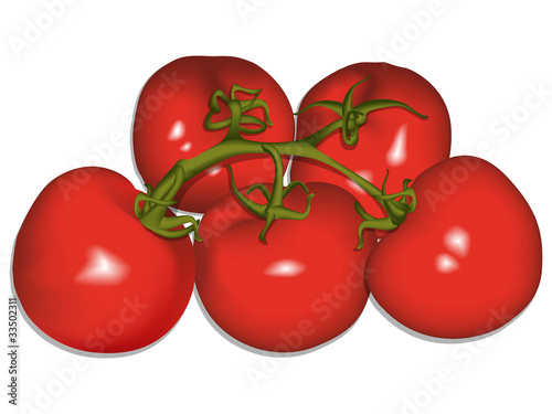 tomatoes against white vector