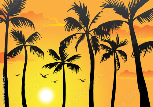 Beach Palm Trees photo