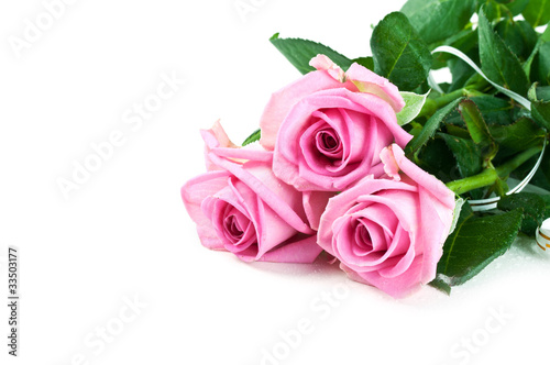 pink fresh roses