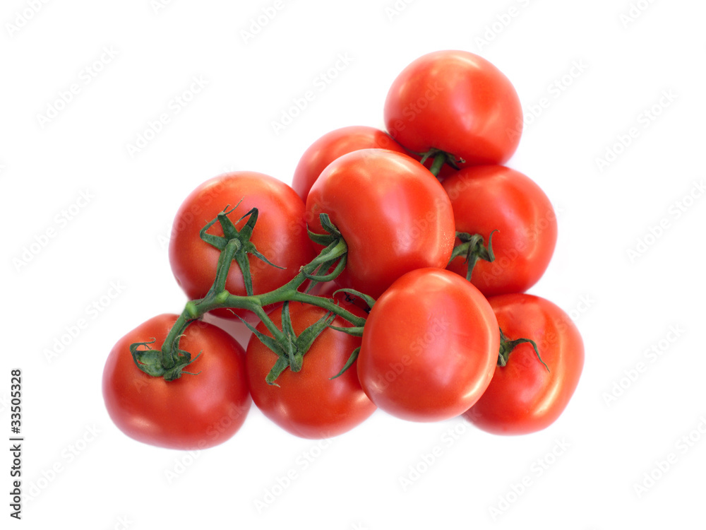 Many Fresh Red tomatoes on green branch isolated on white