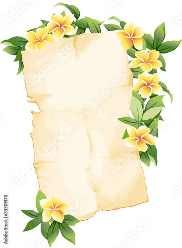 old paper with frangipani plant