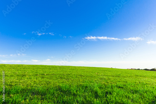 Heavenly Green Fields