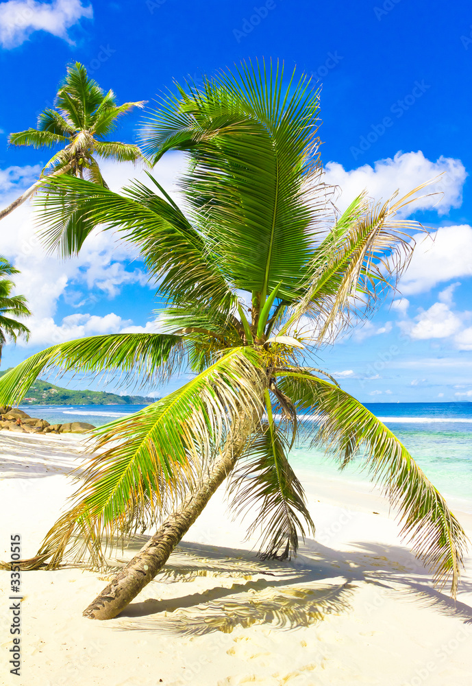 Obraz premium Heaven Wallpaper Coast
