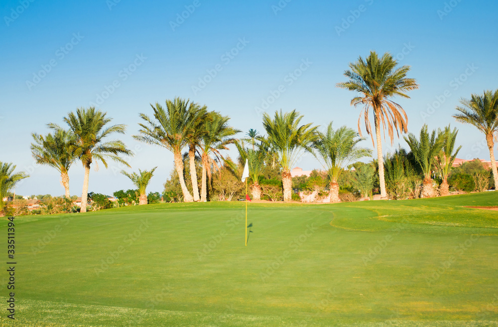 Wide Green Fairway and Palms