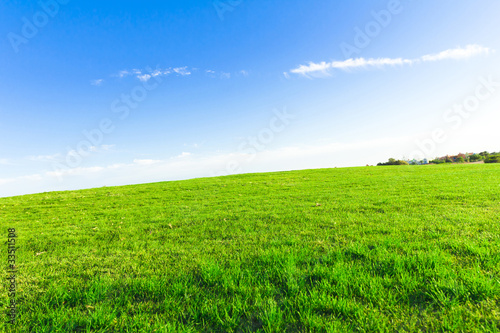 Grass Fields Of Green © alma_sacra