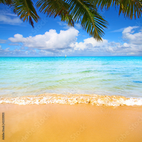 Sunshine Palm Island © alma_sacra