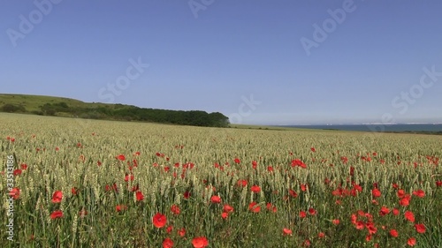 mer et campagne photo