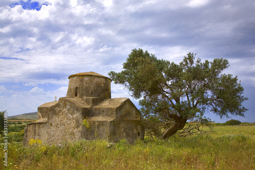 grèce; cyclades; naxos : église byzantile et olivier