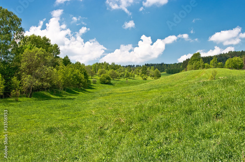 Fototapeta Naklejka Na Ścianę i Meble -  Green meadow in the hills