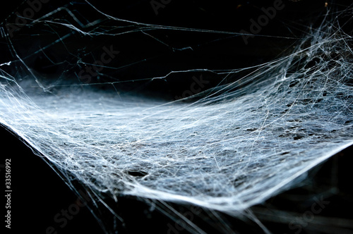 Принти на полотні Old cobweb with black background