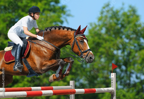 Fototapeta Equestrian jumper - horsewoman and bay mare