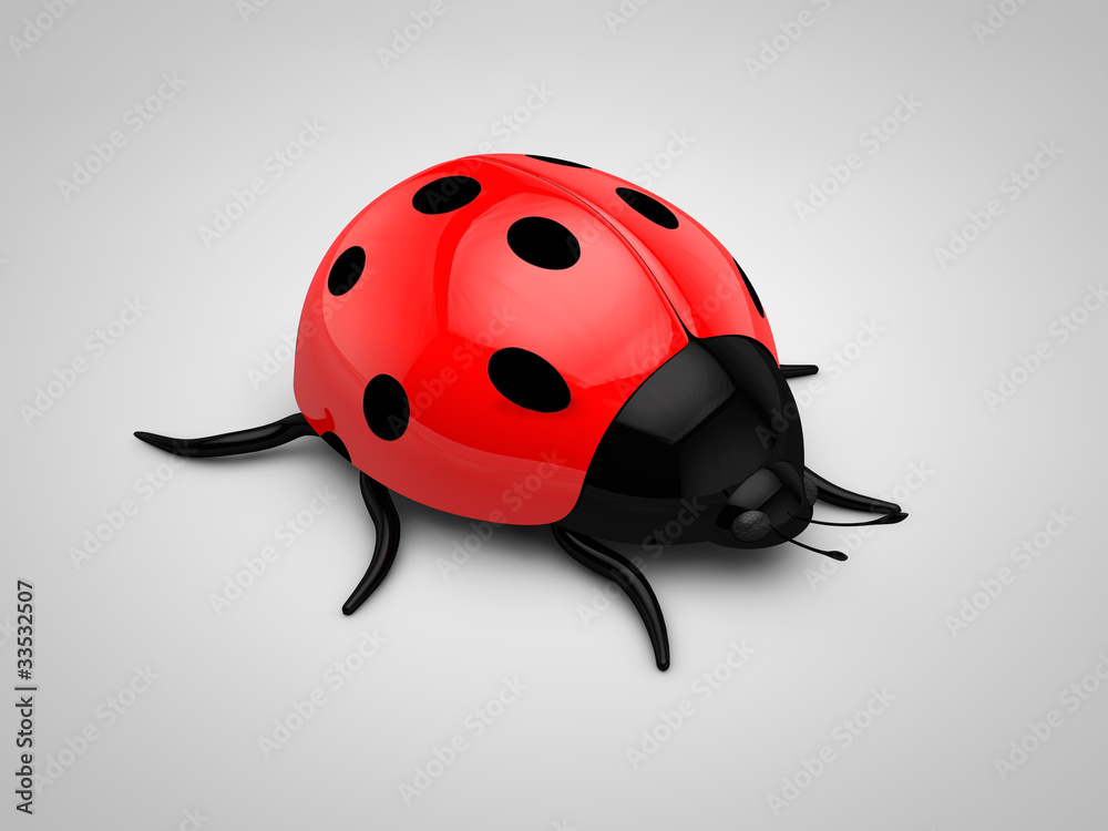 Fototapeta premium 3d Ladybird