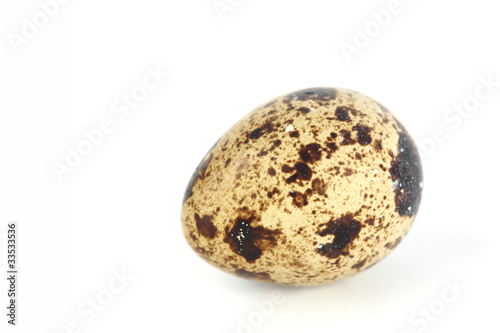 quail egg