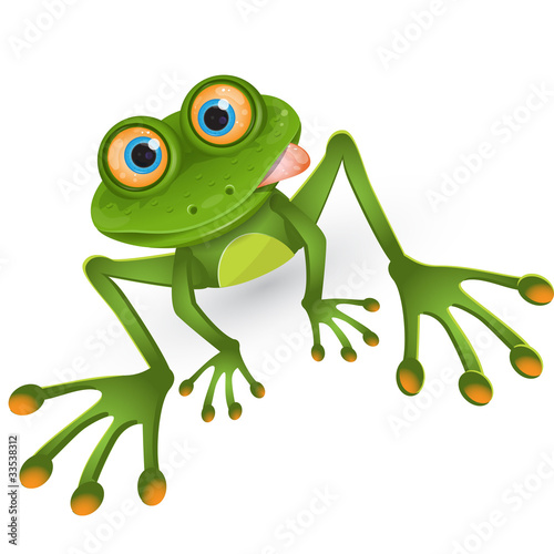 frog