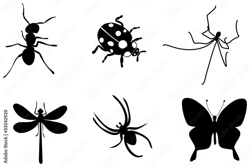 Insekten
