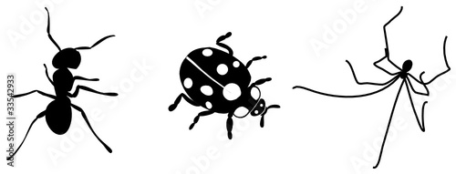 Insekten