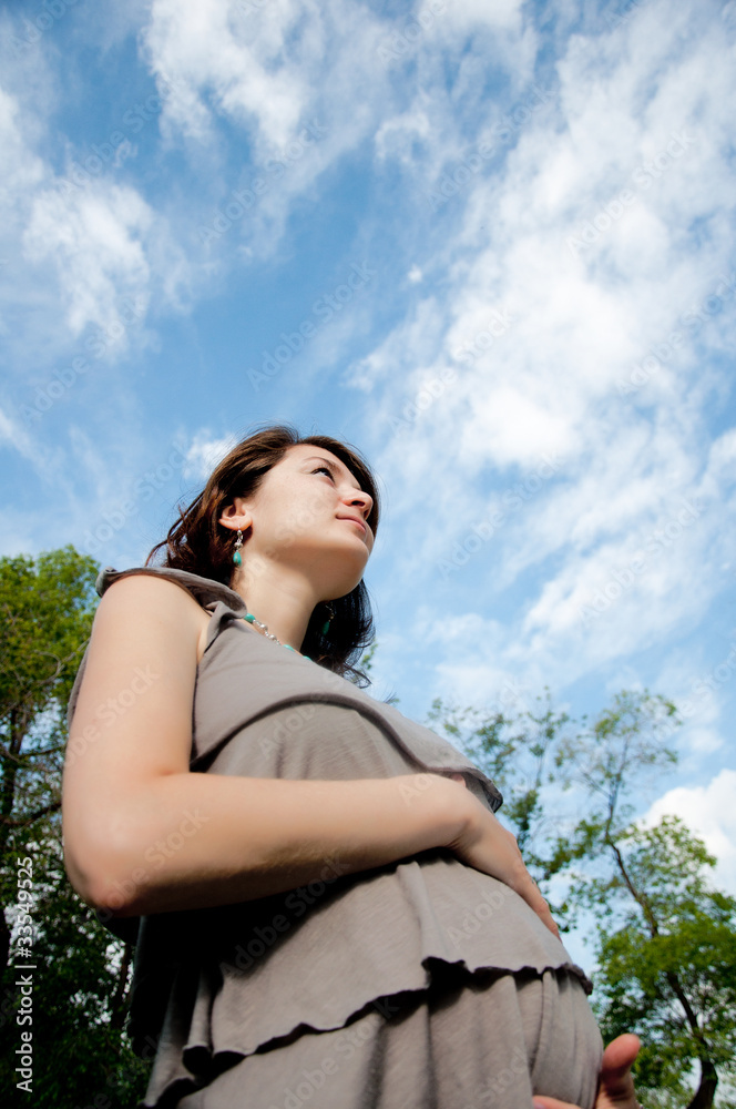 Portrait of the beautiful pregnant woman Portrait of the beautiful pregnant woman