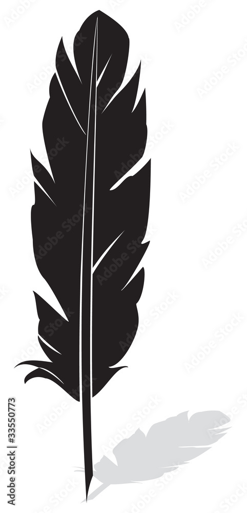 Obraz premium feather on white background