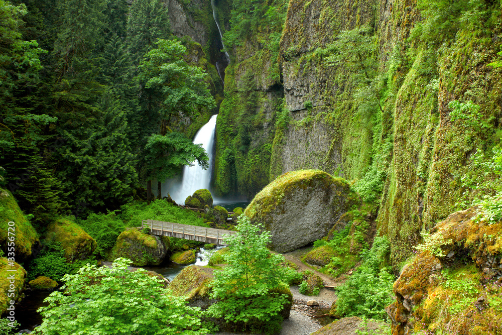 Fototapeta premium Oregon portrait Wahclella falls