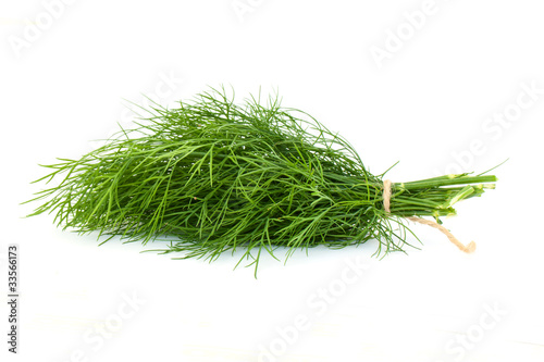 Dill on white