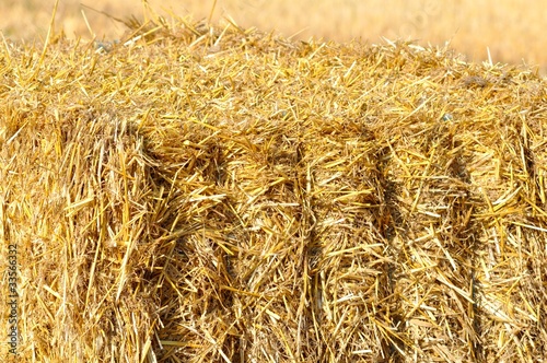 Obraz na plátně botte de pailles