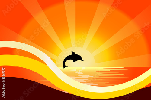 delfino al tramonto