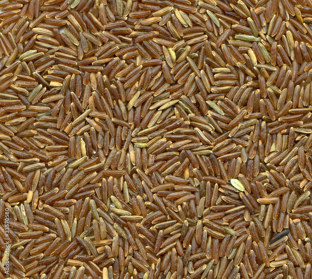 high resolution close-up background of brown rice variety high resolution close-up background of brown rice variety