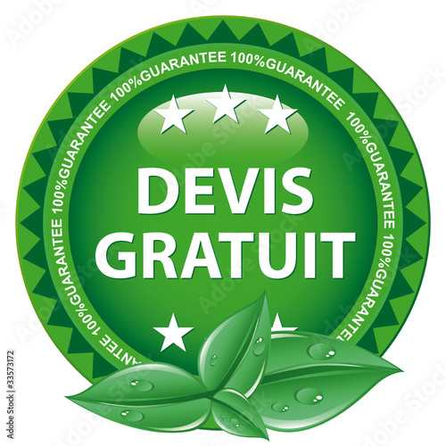 DEVIS GRATUIT ICON