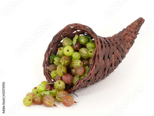 Füllhorn mit Stachelbeeren gefüllt