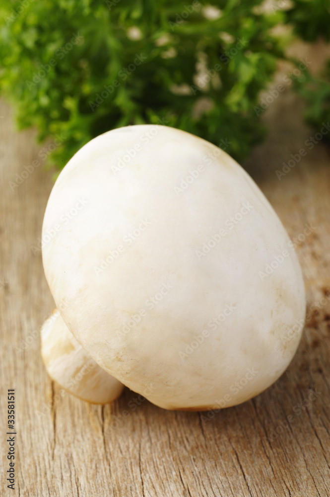 mushroom and parsley
