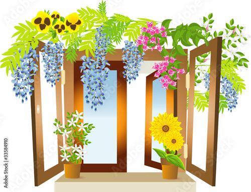 Finestra e natura