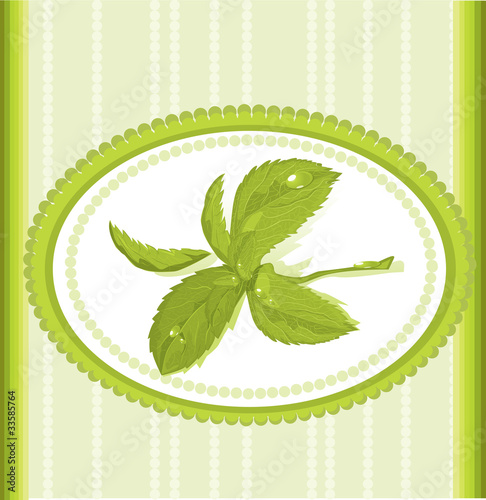 ornament mint frame