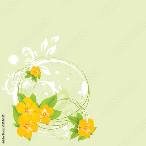 Tropical flower