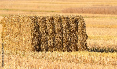 une botte de pailles photo