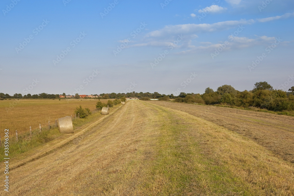 Obraz premium summer landscape 3