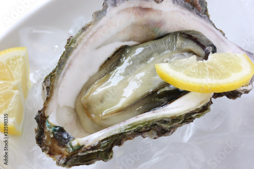 oyster served on ice with lemon photo