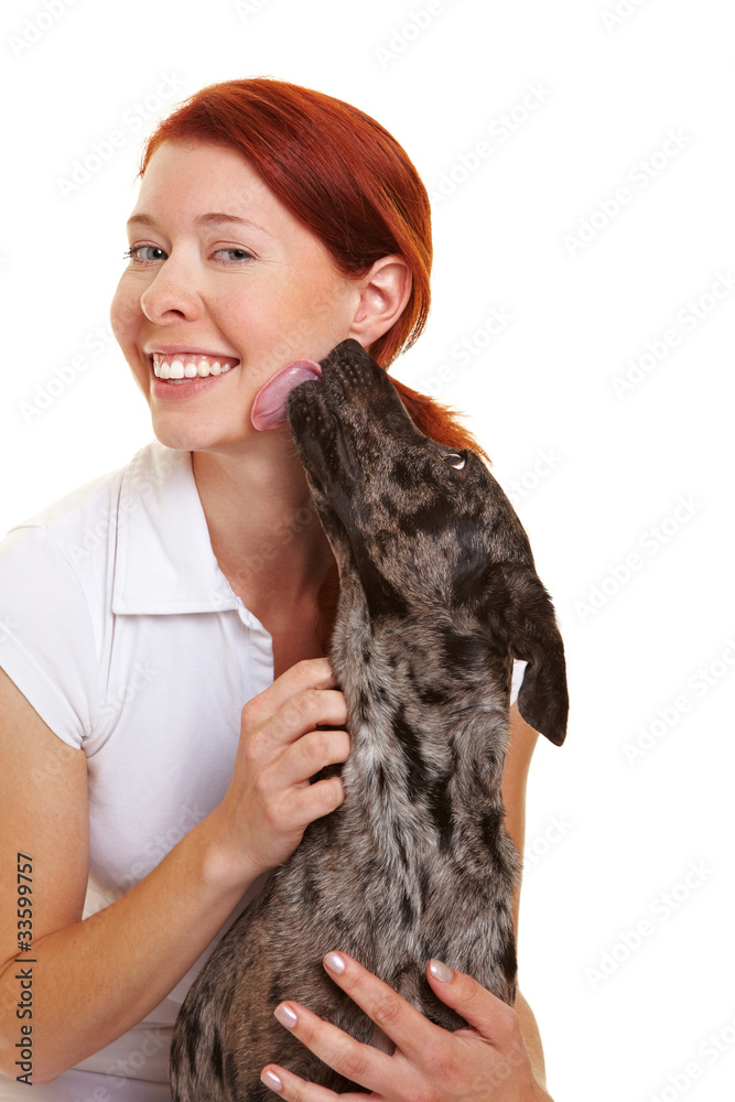 Hund leckt Frau über die Wange