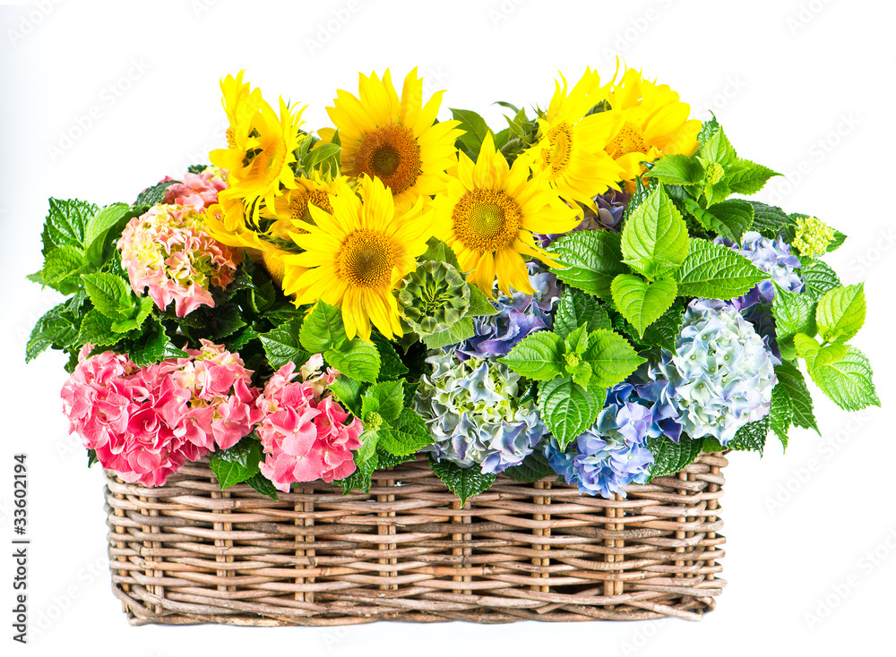 colorful sunflowers and hortensia isolated on white